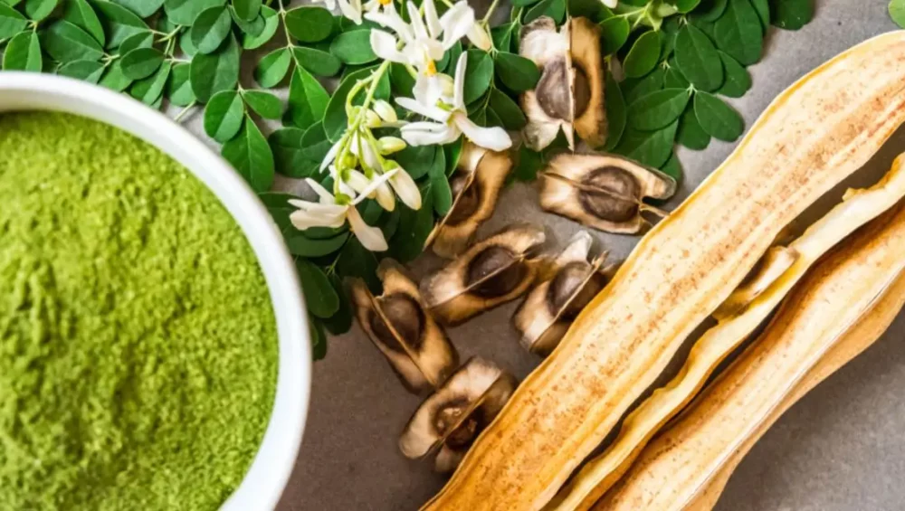 Découvrez les bienfaits du Moringa