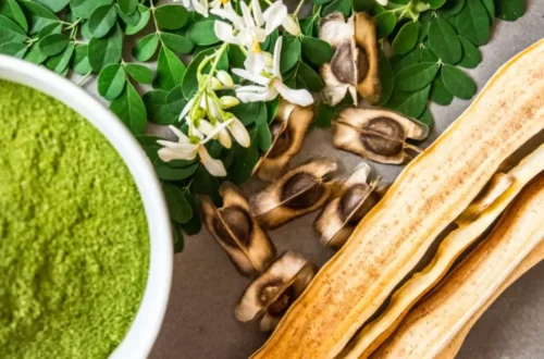Découvrez les bienfaits du Moringa