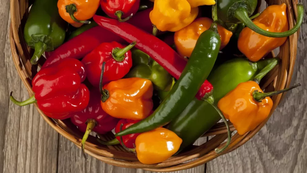 Les bienfaits du piment