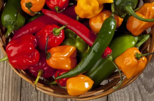 Les bienfaits du piment